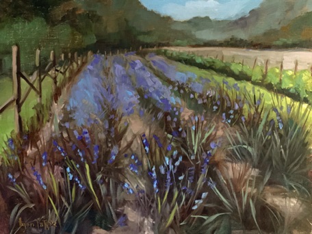Lavender Fields
16x12